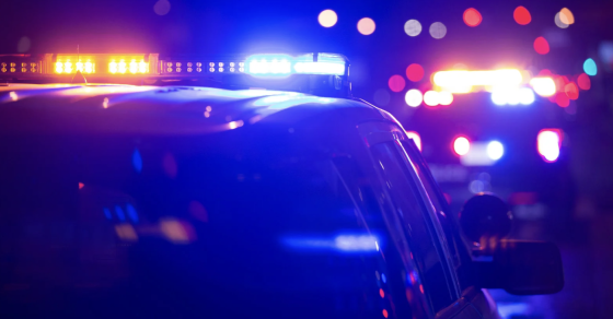 Police Vanessa Matz Voitures