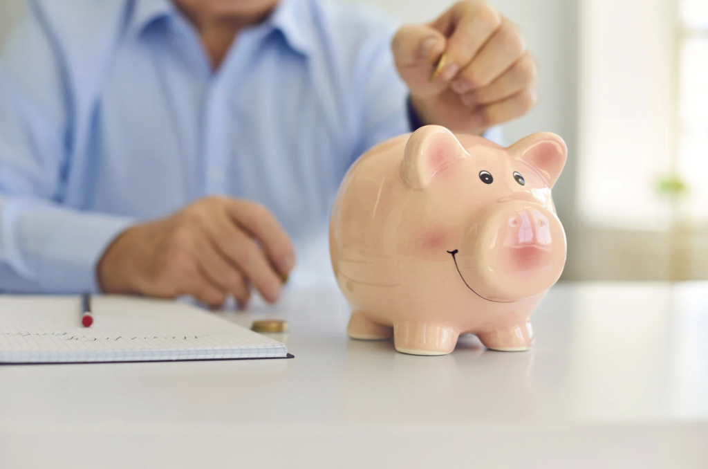 Surpension Deputes Belgique Economie