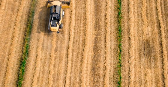 Agriculture Mercosur