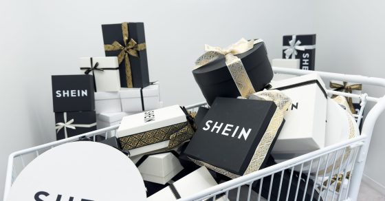 52637892536 53d70a9632 O Scaled