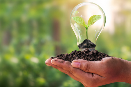 Sans Titre 450 X 300 Px 22