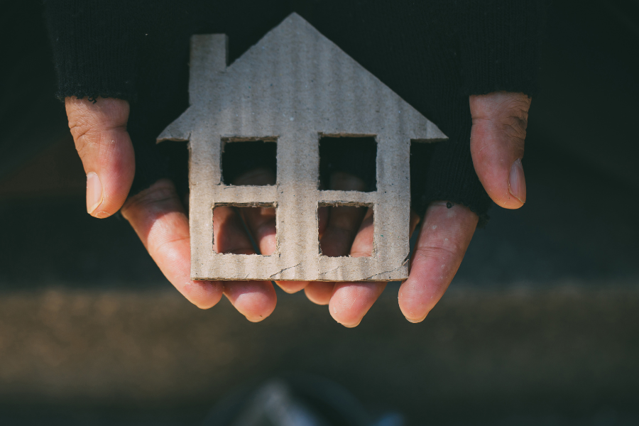 Vignettes Site Web 2