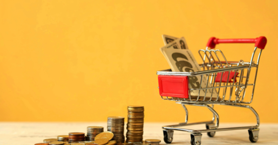 Vignettes Site Web 23