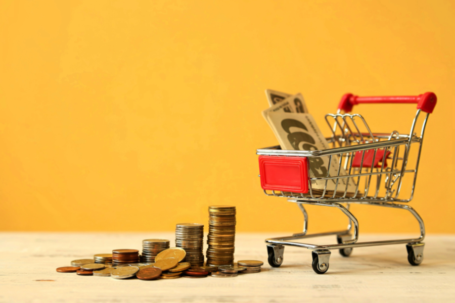 Vignettes Site Web 23