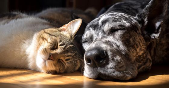 Capture Decran 2026 04 28 112836