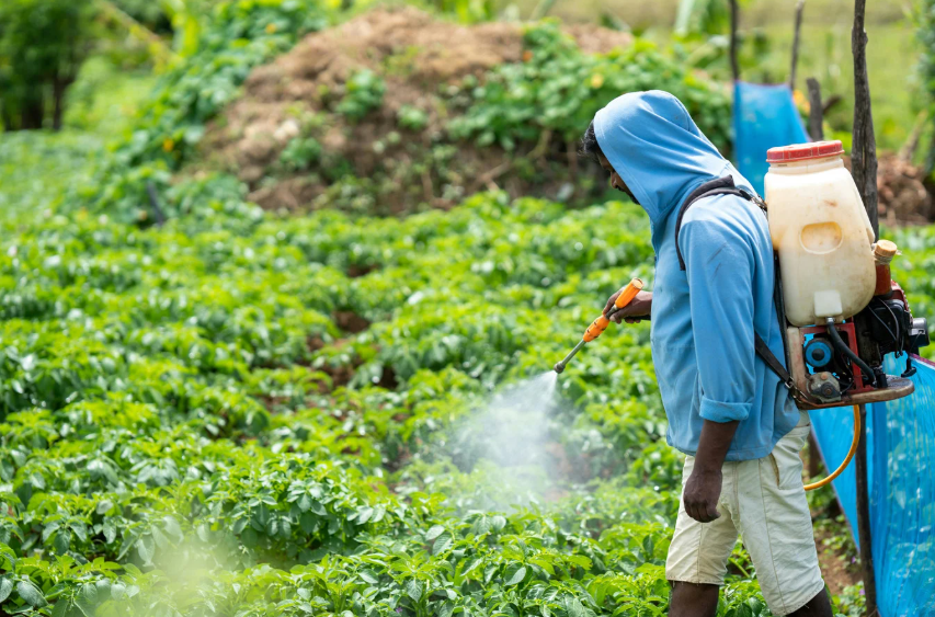 Pfas Pesticides